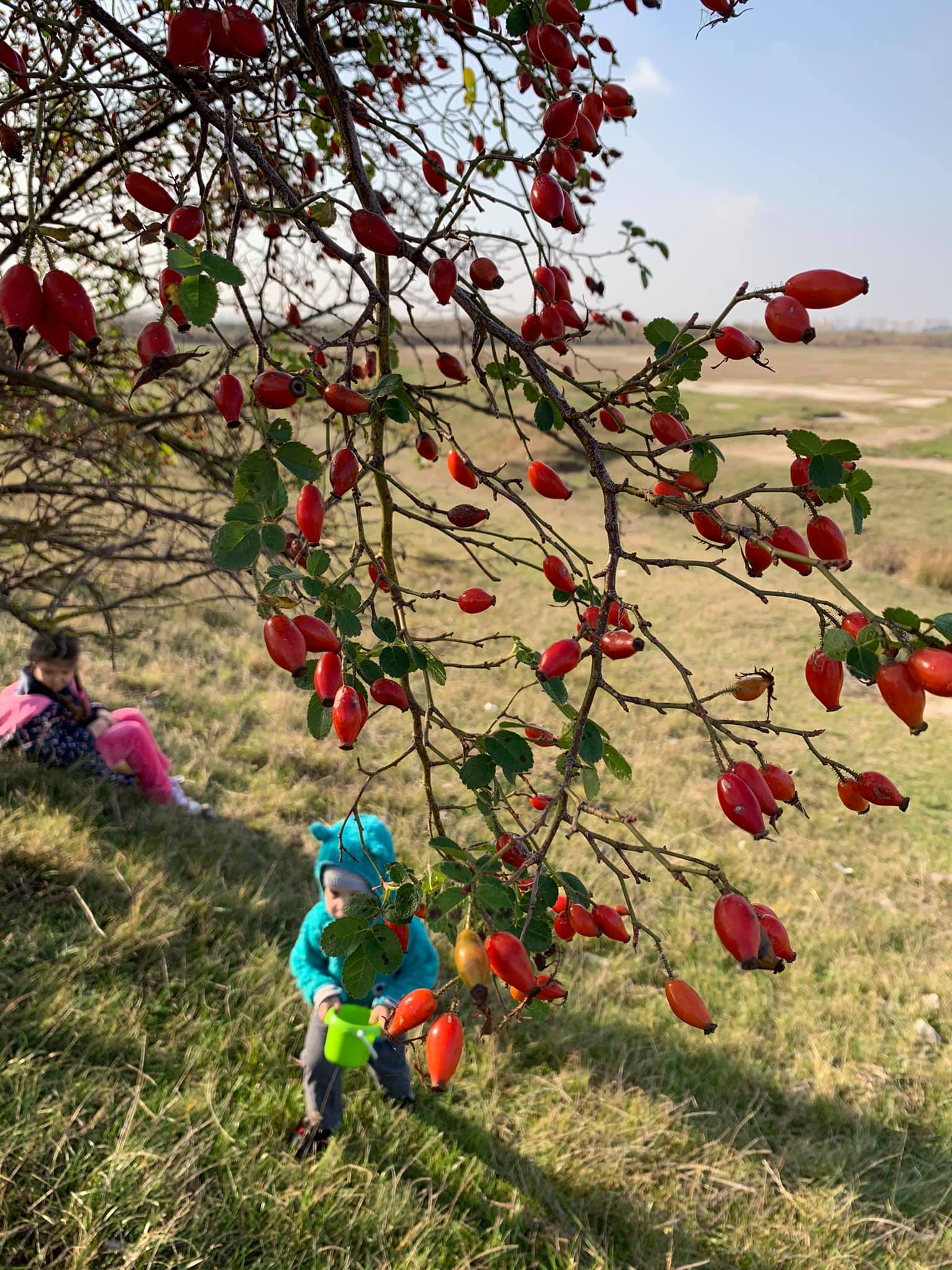 May be an image of one or more people, tree and nature